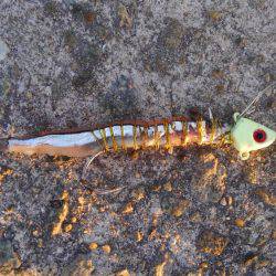 かろうじて一本・・・