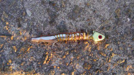 かろうじて一本・・・