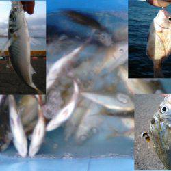 父とタチウオ釣り