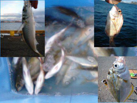 父とタチウオ釣り