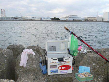 二見人工島で落ちギス爆釣