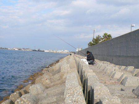 まだ釣れる二見人工島のキス