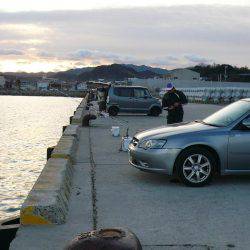 激渋の都志漁港で、まずまずの釣果でした