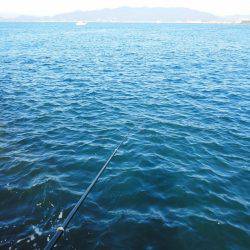 こんなん出ました・・・pt4