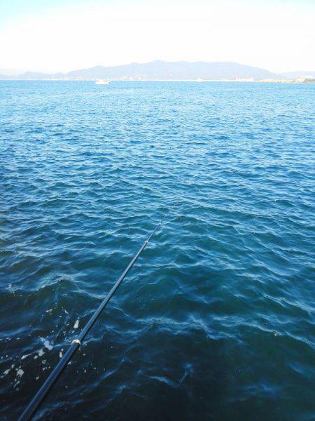 こんなん出ました・・・pt4