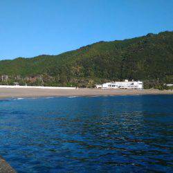 本命には出会えず