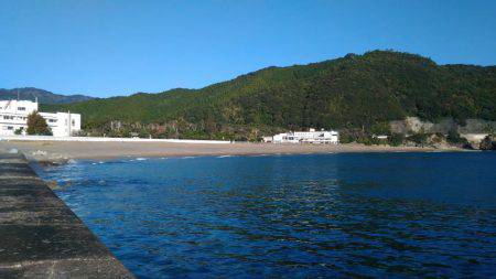 本命には出会えず