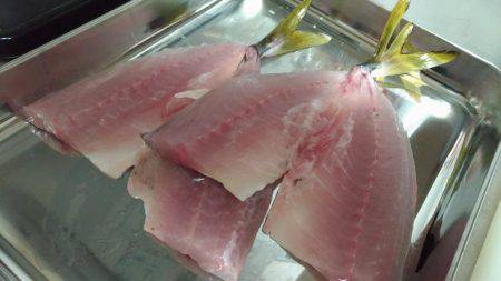 初の神戸沖堤で大アジゲット！