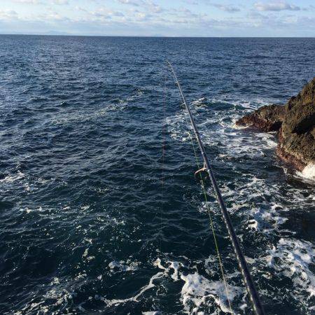 クリスマスメバル