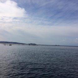 まだまだ新子がいてる