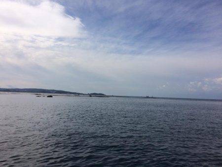 まだまだ新子がいてる