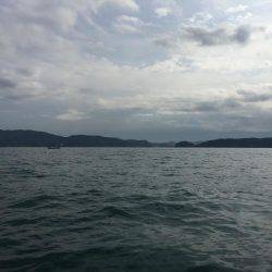 タチウオジギング&テンヤ