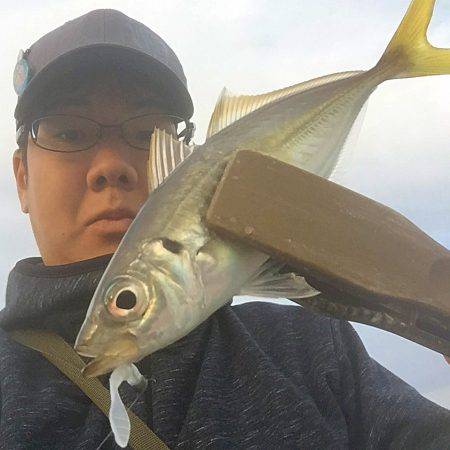 デイ＆ナイトアジング！