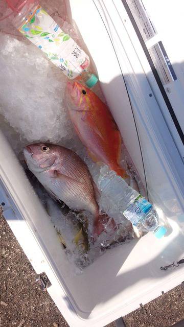 第３浜丸 釣果