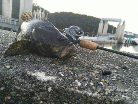 まさかまさかの尺アップ！？