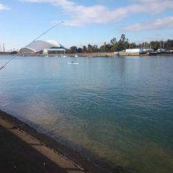 初めてフッコが釣れた