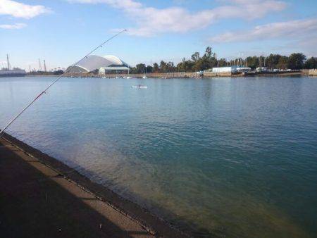 初めてフッコが釣れた