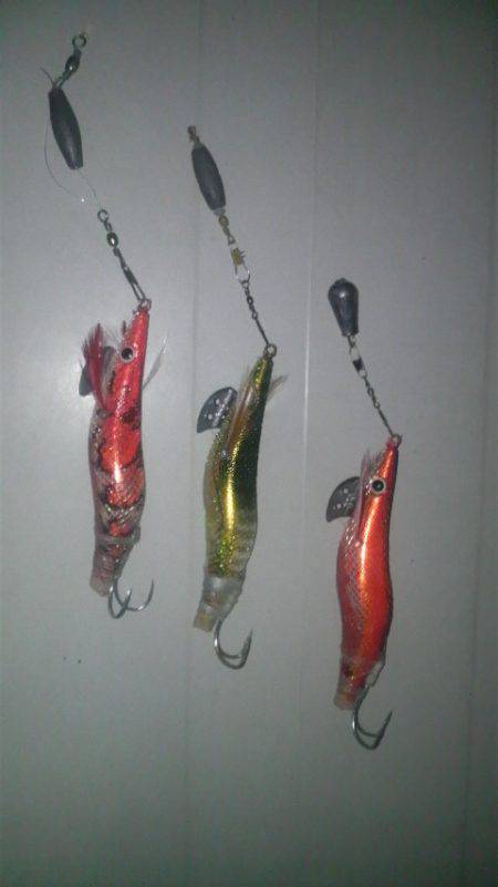 まだまだタコは釣れるよ!