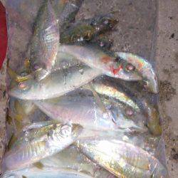 満潮22時半～から