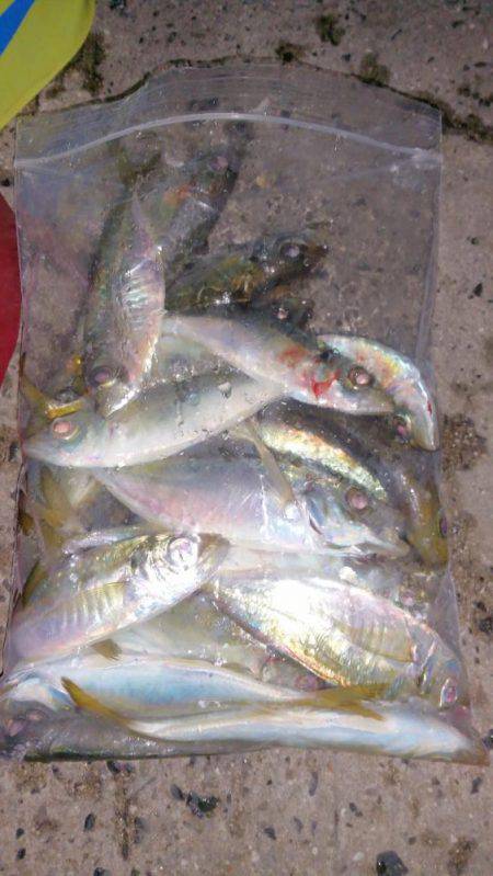 満潮22時半～から