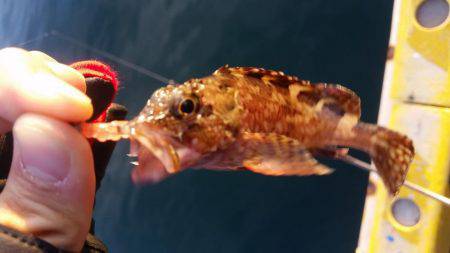 終盤戦でもまだまだ釣れる！？