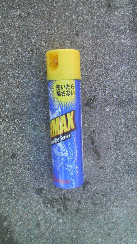 イカがダメならタコを釣るゾ!!