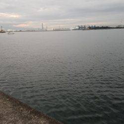 シーズン終了間際でどうにか一本