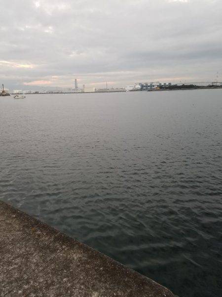 シーズン終了間際でどうにか一本