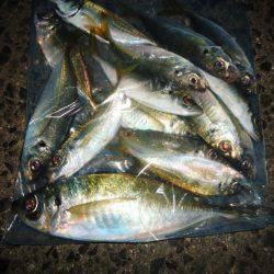 ようやくのジャンボ！