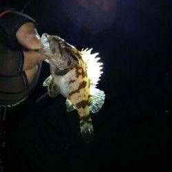 オジサン２人でメリーツリシマス(笑)