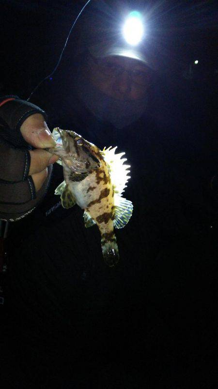 オジサン２人でメリーツリシマス(笑)