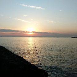 サイズ釣果共に少し落ち始めました