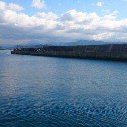 今年最後の釣り