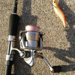 釣りはしやすい…