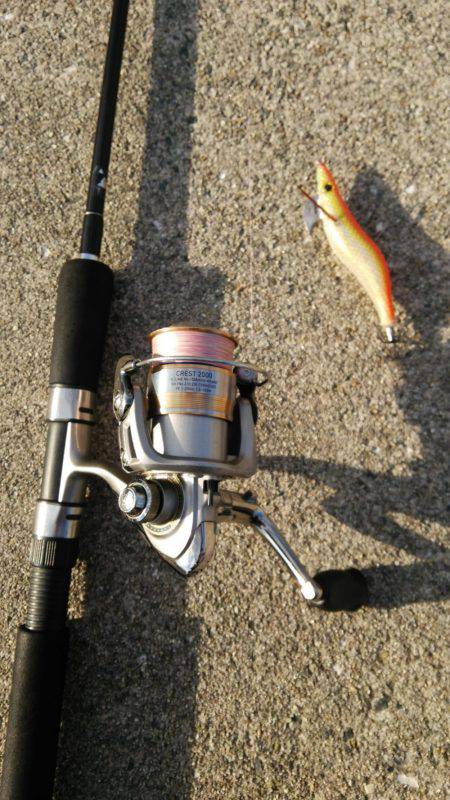 釣りはしやすい…