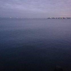 朝マヅメ、ミノーでタチウオ