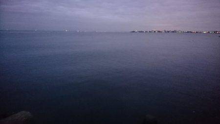 朝マヅメ、ミノーでタチウオ