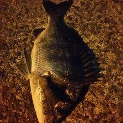 日中にまったりと