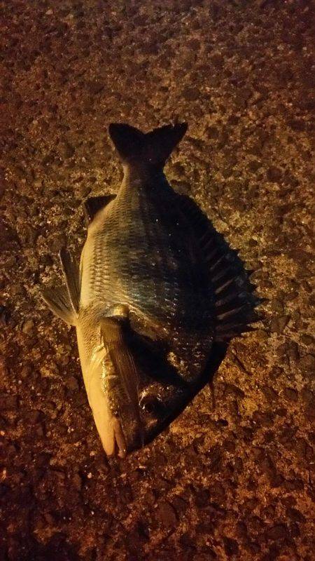 日中にまったりと