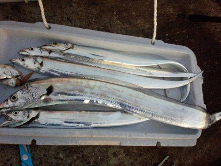 今シーズン最大111センチ。