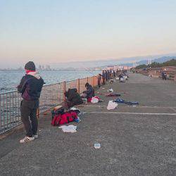 ドラゴン注意報