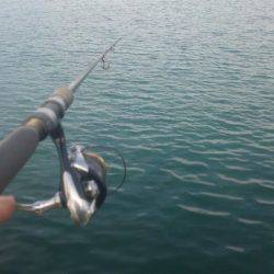 久しぶりに釣りに