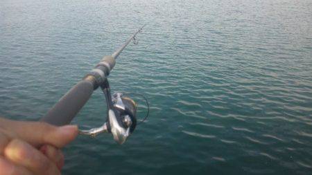 久しぶりに釣りに