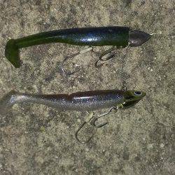 今季一番の釣果