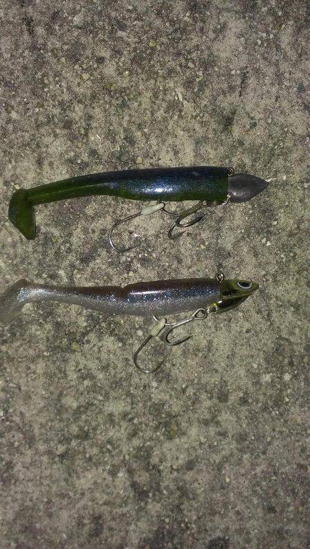 今季一番の釣果