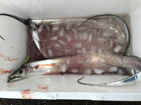 まだおったんか〜い