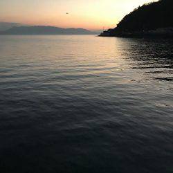 マイクロジグでの五目釣り。