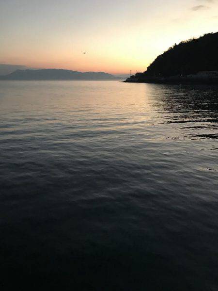 マイクロジグでの五目釣り。