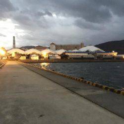 まだ少し居てます