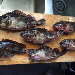 これから本番だー！